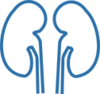 Icon blue kidneys
