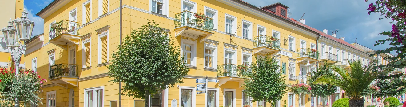 Czech Healing Spa Association